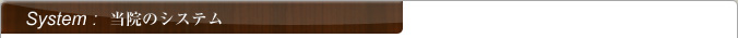当院のシステム